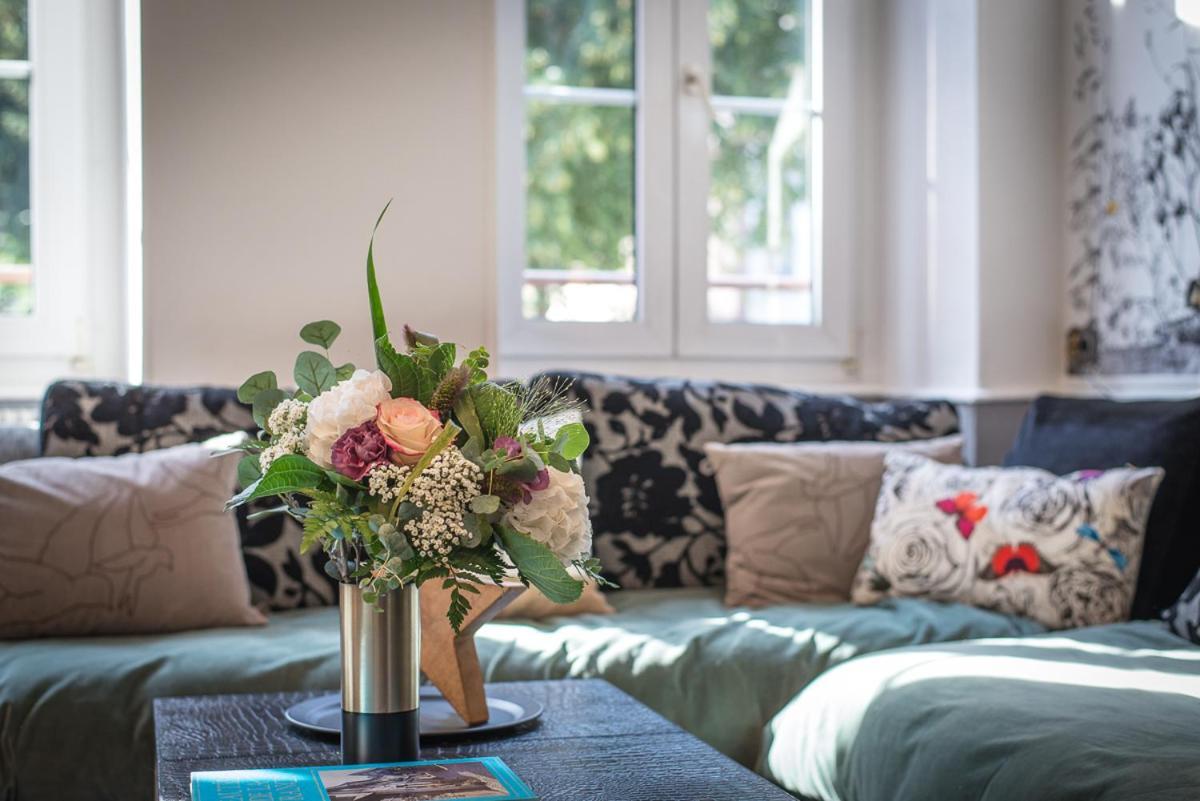 Hello Colmar Luxury Petite Venise 7 pers parking velos Appartement Buitenkant foto