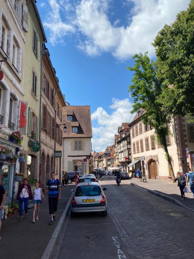 Hello Colmar Luxury Petite Venise 7 pers parking velos Appartement Buitenkant foto